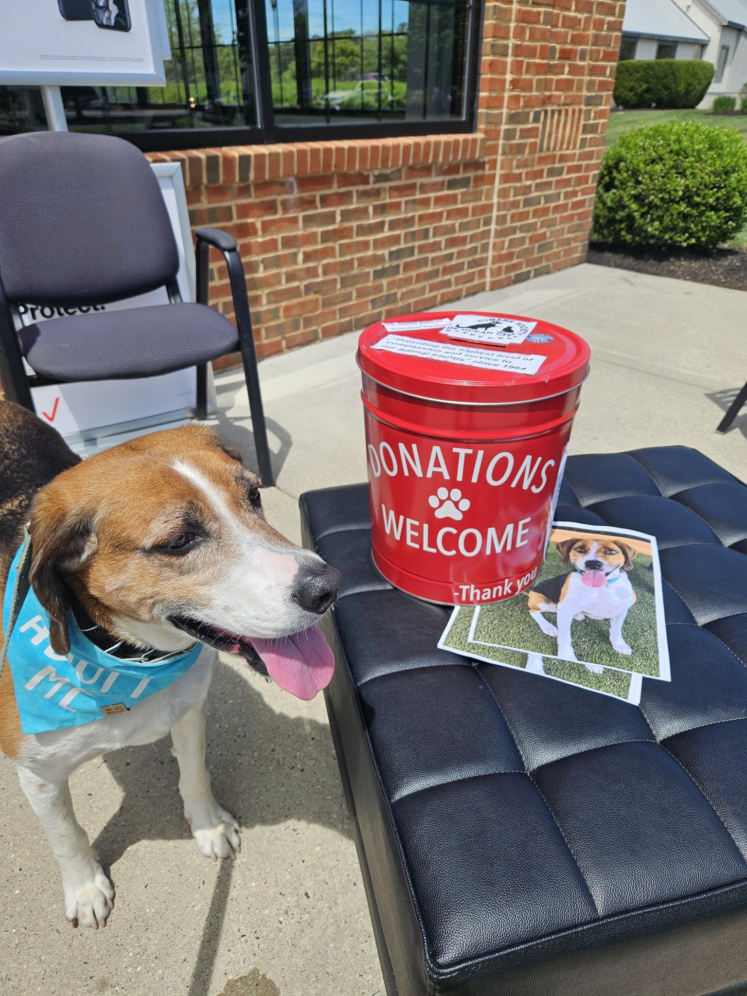 Pet Friendly Humane Society of Ocean City