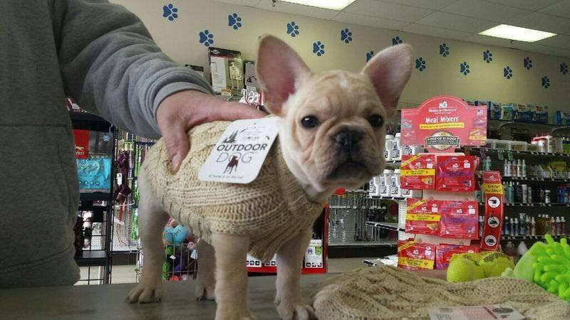 Directory of Pet Stores in Hillsdale NJ BringFido