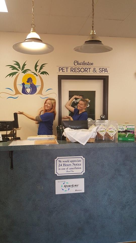 Charleston Pet Resort