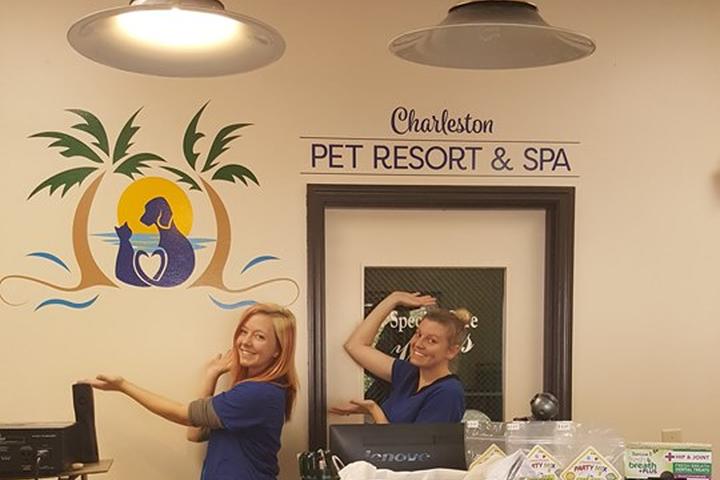 Pet Friendly Charleston Pet Resort