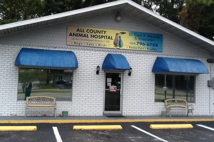 Pet Friendly All County Animal Hospital