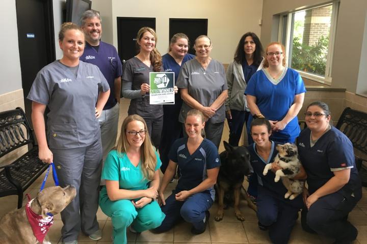 Pet Friendly Orchard Park Animal Hospital