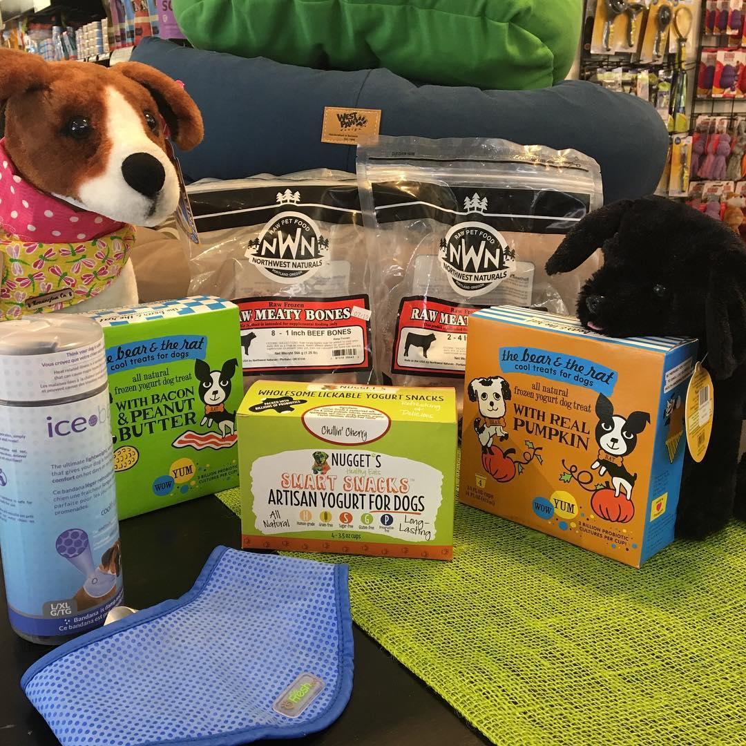 Pet store supplies near shop me