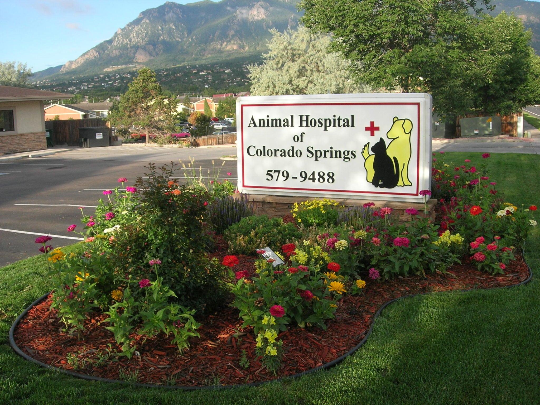 Pet Friendly Animal Hospital of Colorado Springs