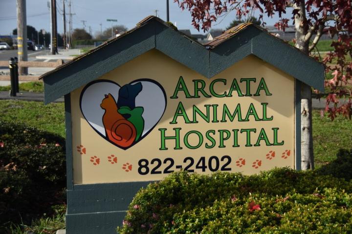 Pet Friendly Arcata Animal Hospital