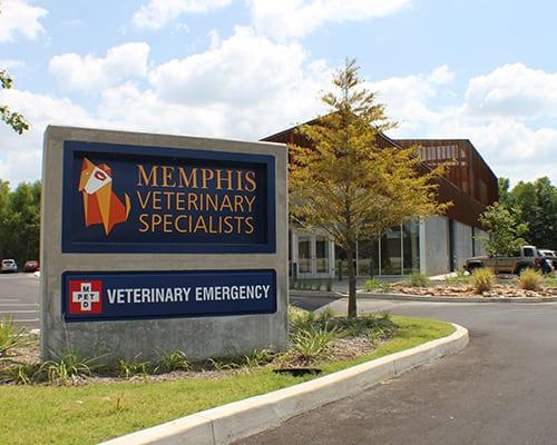 Pet Friendly Memphis Veterinary Specialists