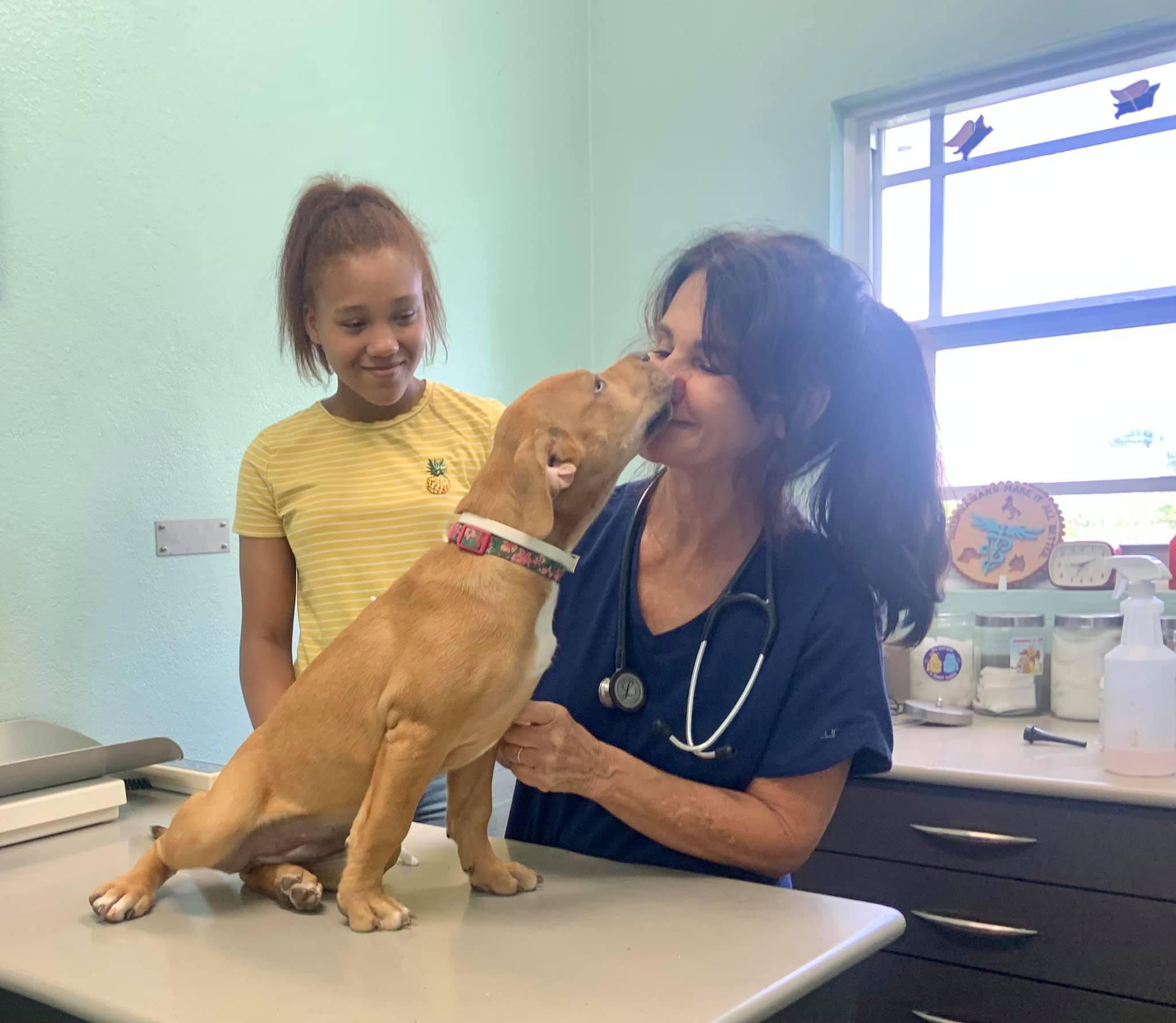 Pet Friendly Island Veterinary Service