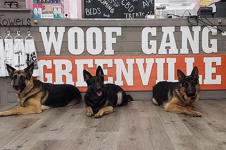 Pet Friendly Woof Gang Bakery & Grooming Greenville
