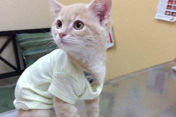 Cimarron Animal Hospital Cimarron Animal Hospital