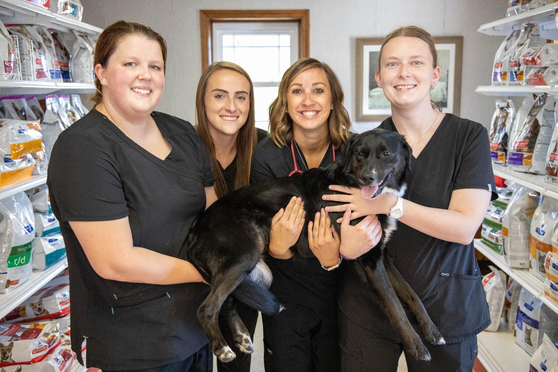 Pet Friendly Hannibal Veterinary Clinic