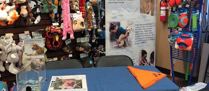 New Hope Dog Rescue New Hope Dog Rescue