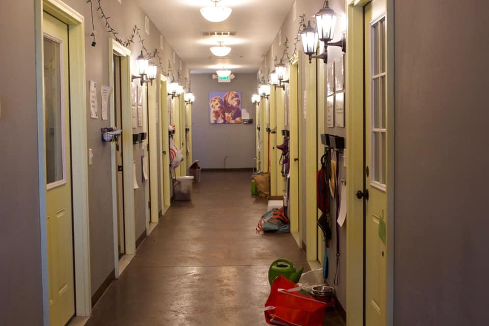 Pooch palace hours on sale