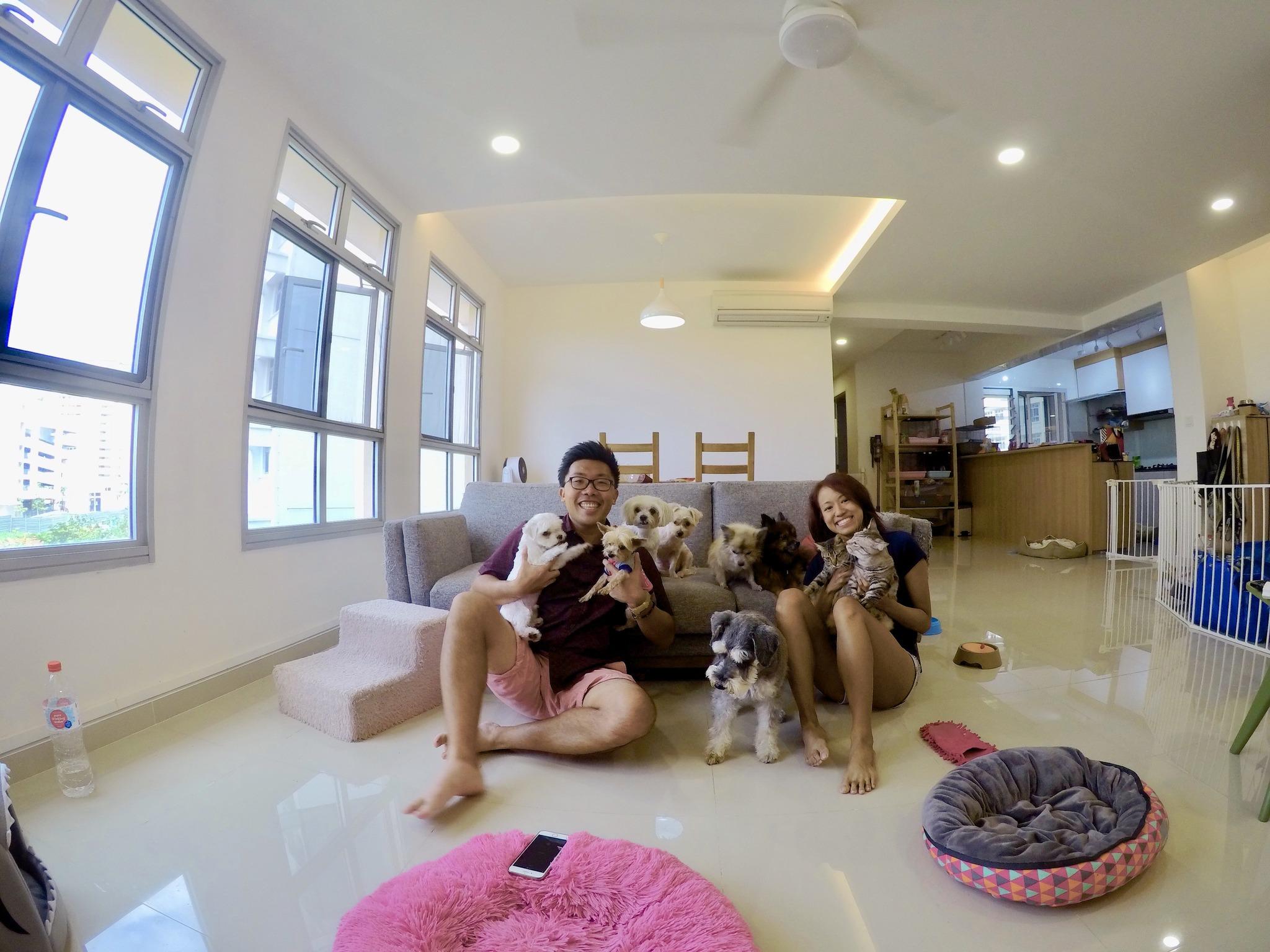 Pet Friendly Crys & Mel's Dog Boarding Singapore