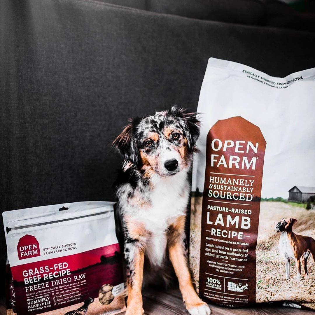 Paws Stop Specialty Pet Food Supplies