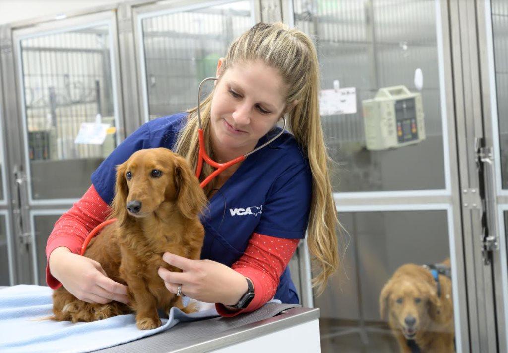 Pet Friendly VCA California Veterinary Specialists - Ontario