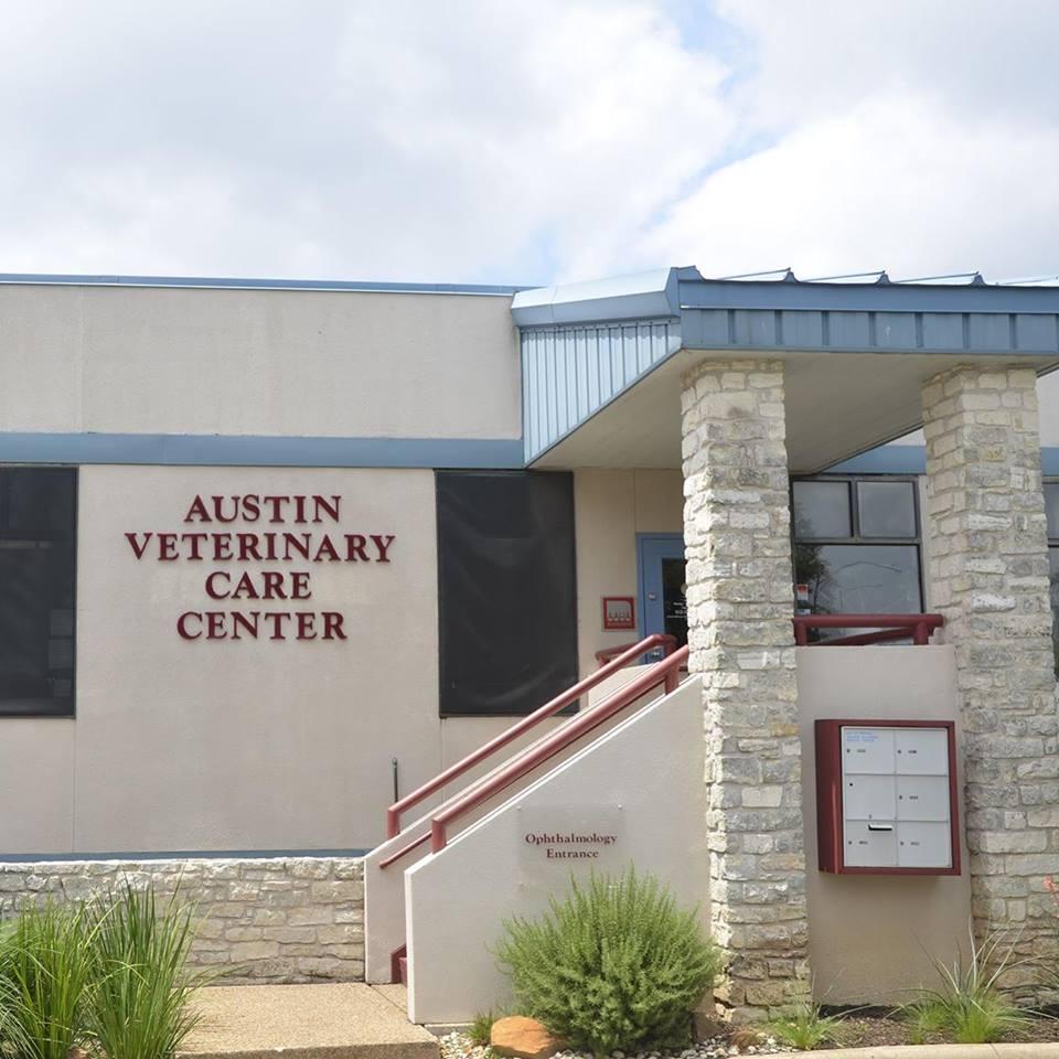 Eye Care for Animals