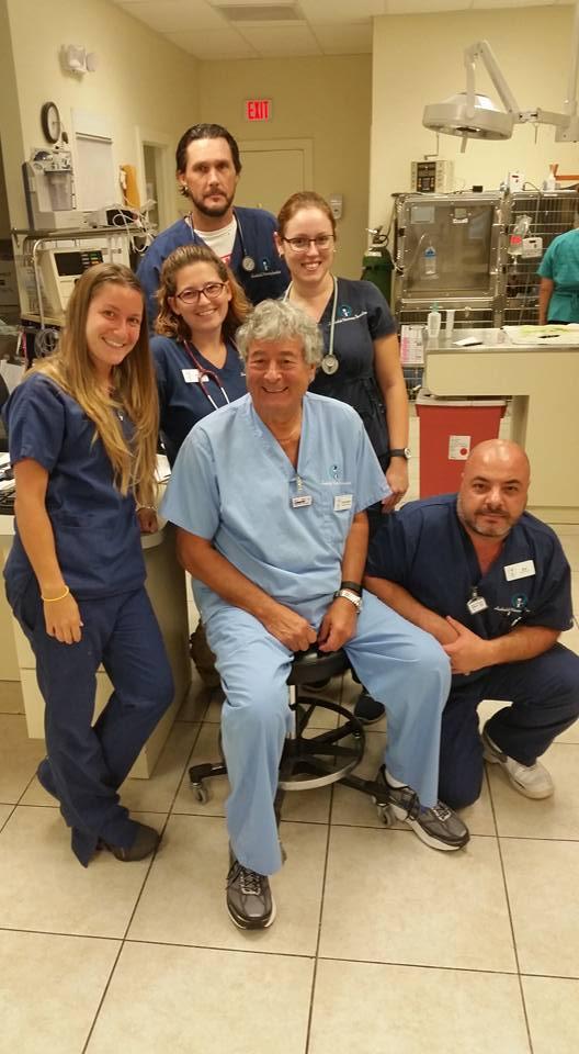 lauderdale veterinary specialist