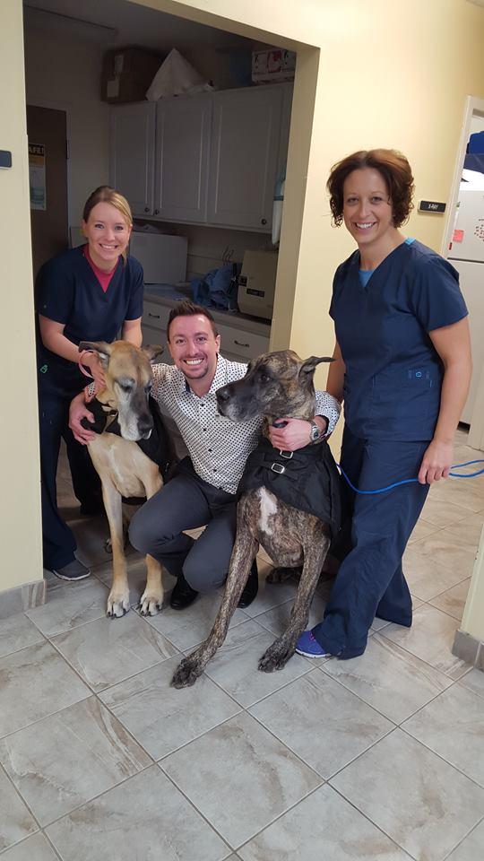 Meadowbrook Veterinary Clinic