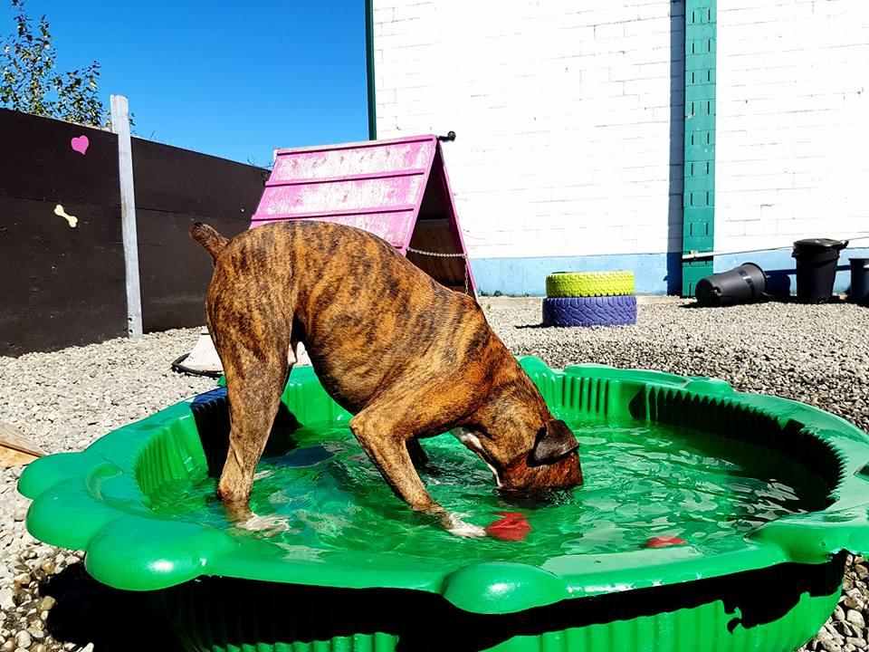 Homework login picture