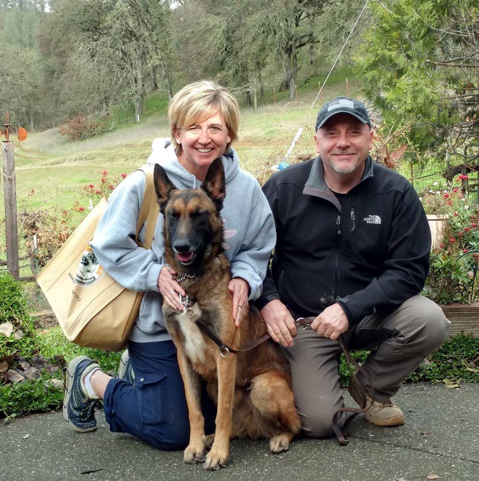 Pet Friendly Bay Area German Shepherd Rescue