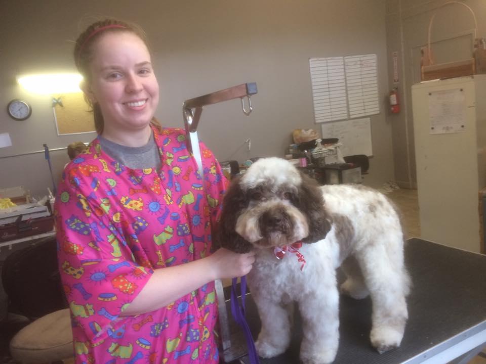 Pet Friendly Happy Pets Academy of Grooming