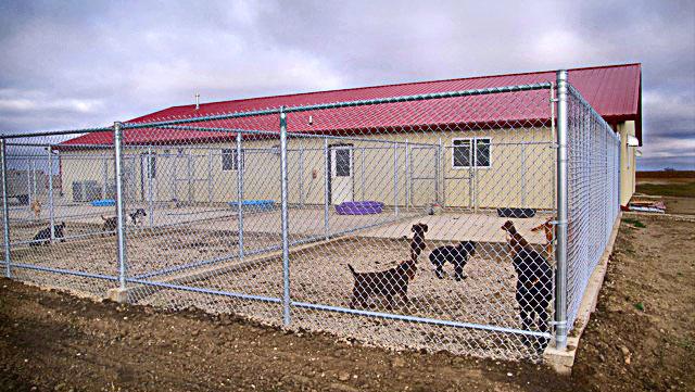 Dakota doggie daycare sales
