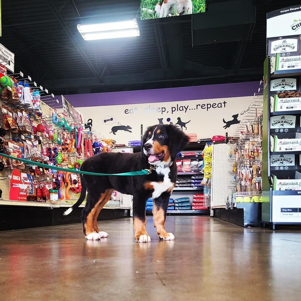 Petz place discount new philadelphia ohio