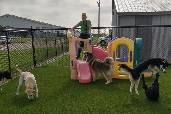 Pet Friendly Countryside Kennels Pet Resort and Spa