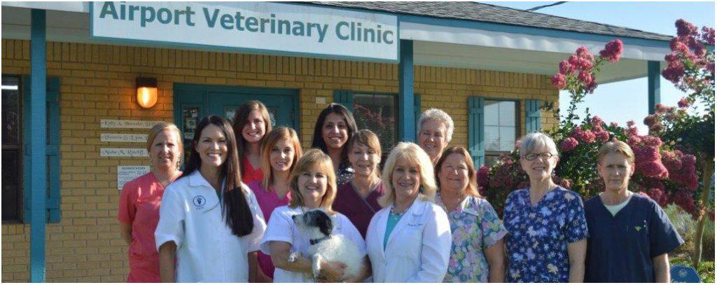 Pet Friendly Airport Veterinary Clinic