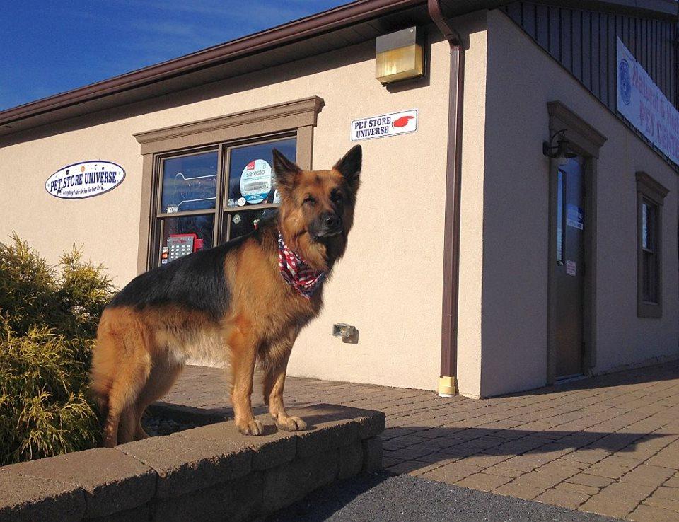 Directory of Pet Stores in Hamburg PA BringFido