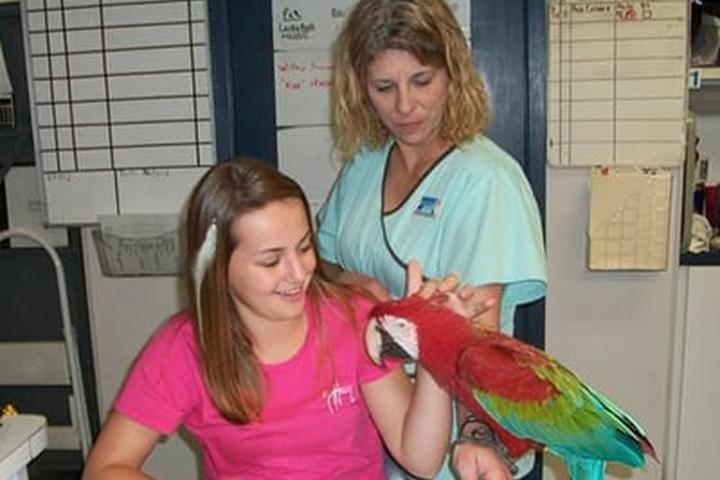 Pet Friendly Bienville Animal Medical Center