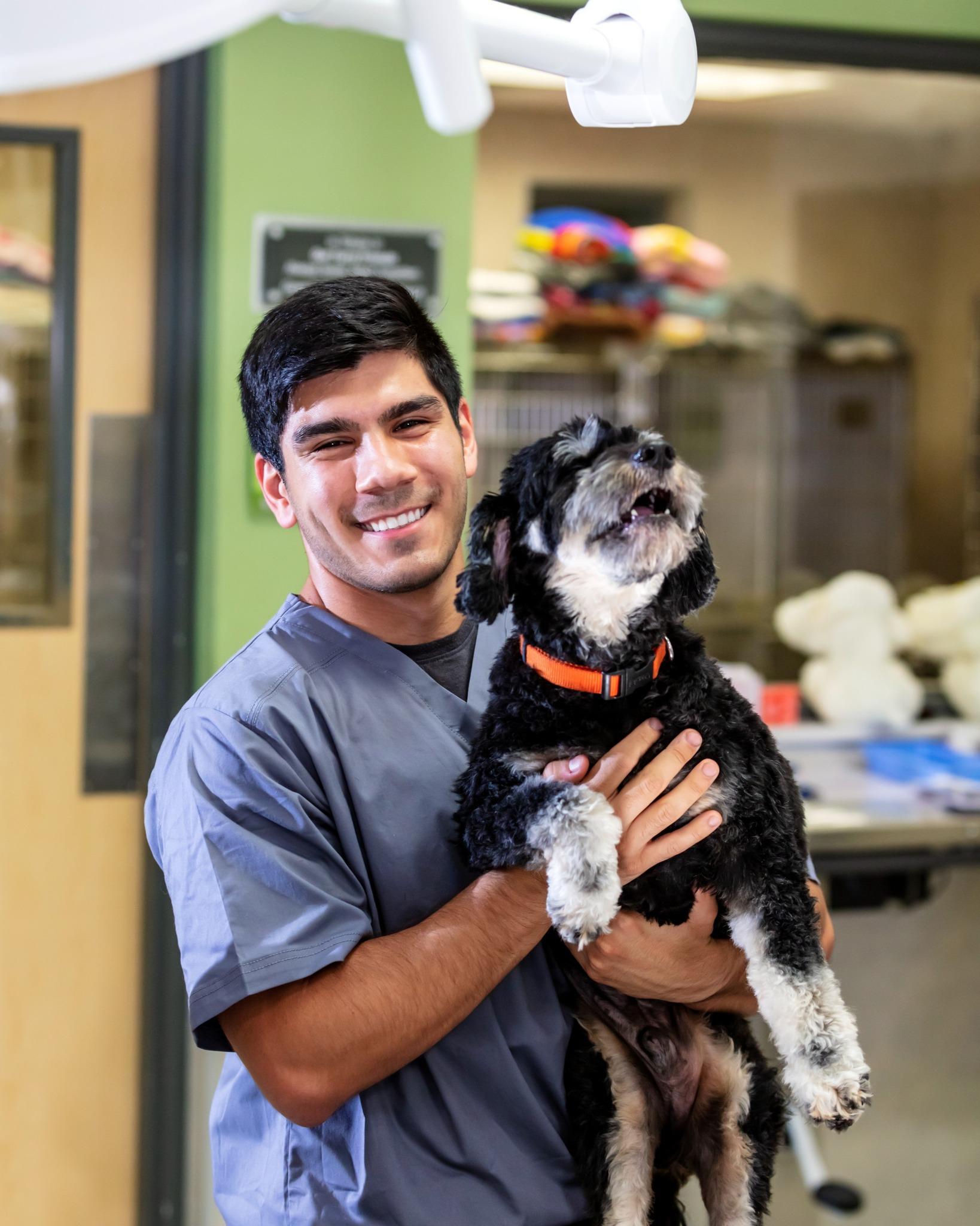 Pet Friendly Dr. Kathy's Veterinary Care