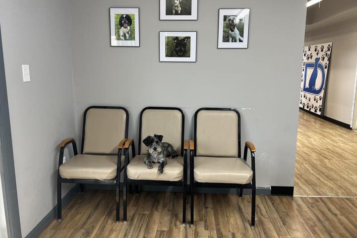 Pet Friendly Deaton Veterinary Clinic