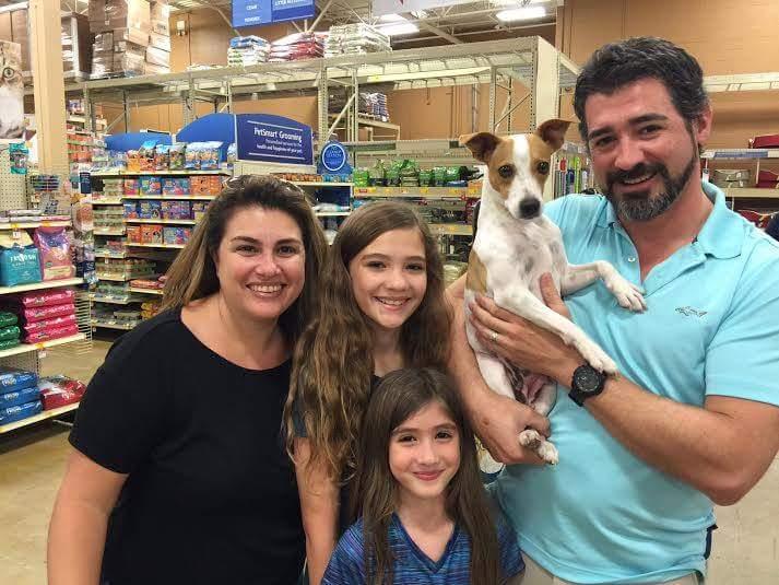 Directory Of Doggie Daycare Boarding In West Palm Beach Fl Bringfido