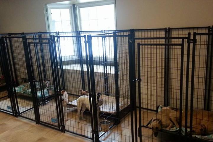 Pet Friendly 1st Choice Dog Daycare and Boarding