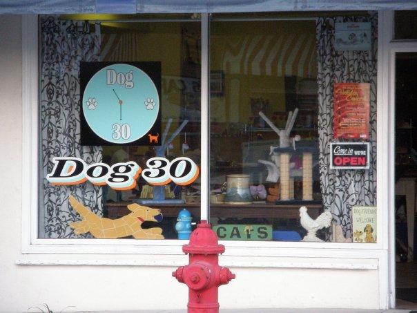 Pet Friendly Dog 30