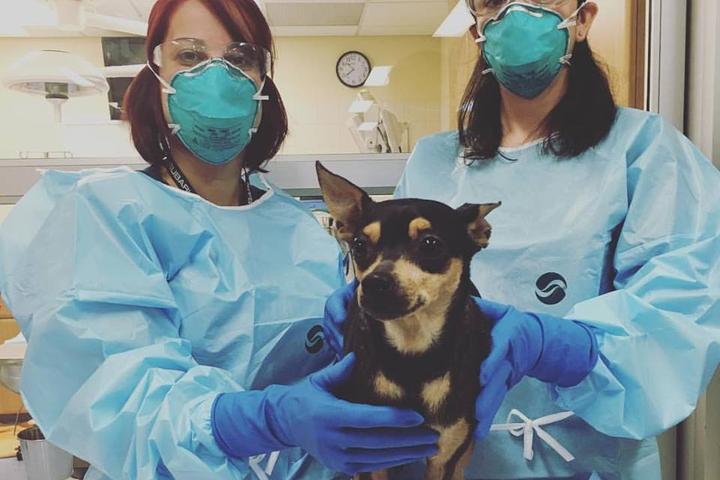 Pet Friendly Saint Francis Veterinary Center