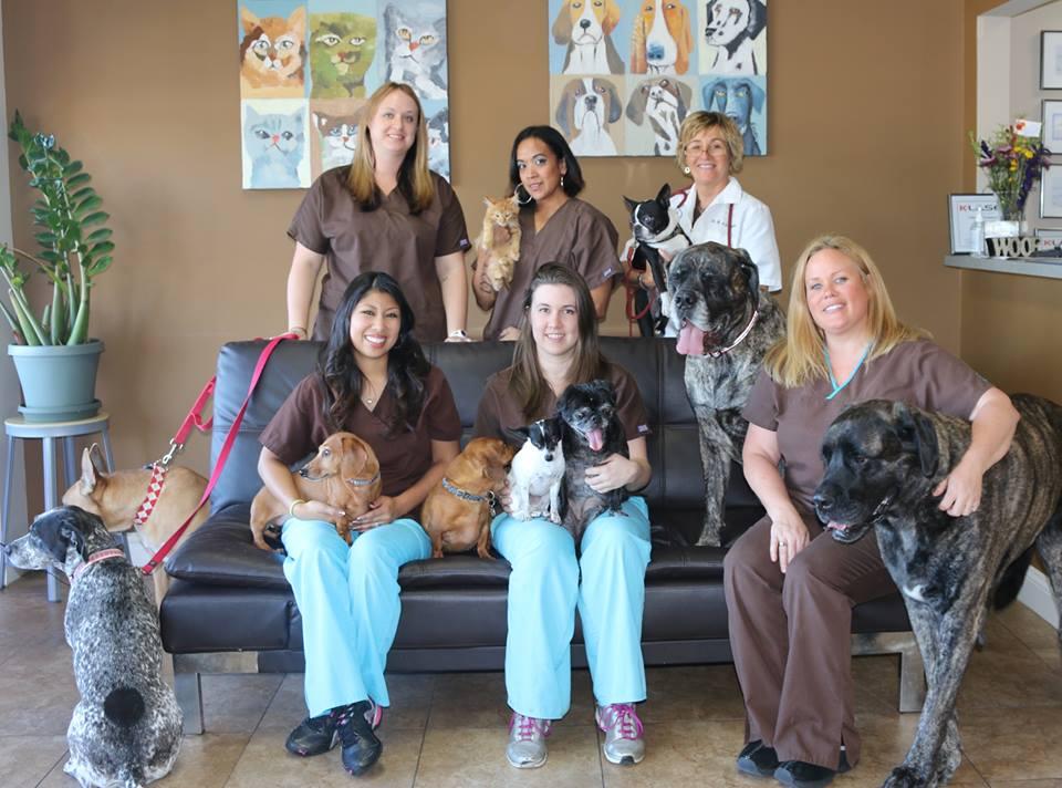 Pet Friendly East Beach Veterinary Care & Housecalls