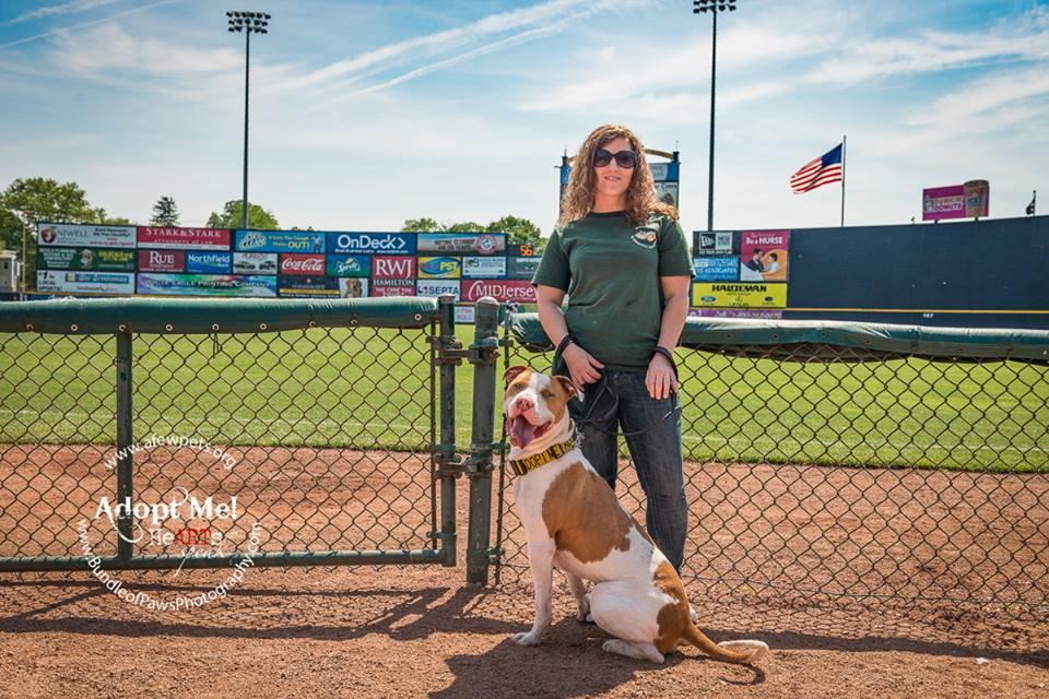 Directory of Pet Businesses in Robbinsville, NJ BringFido