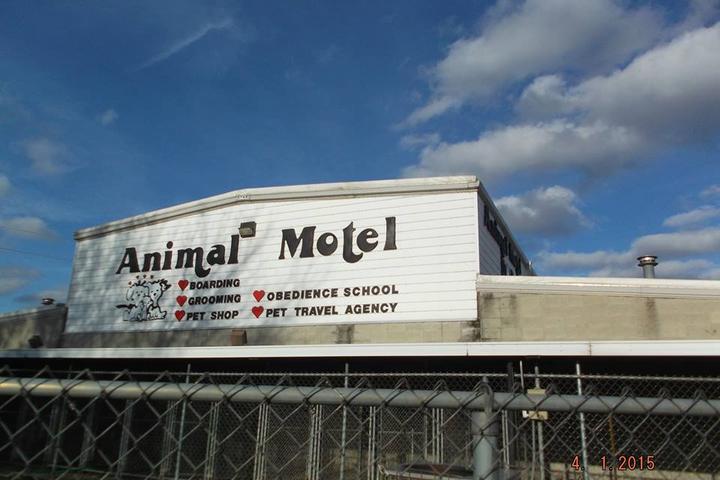Pet Friendly Animal Motel