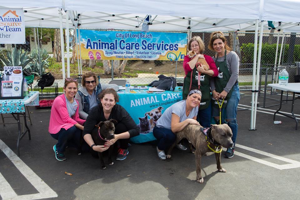 Pet Friendly Long Beach Animal Care Services