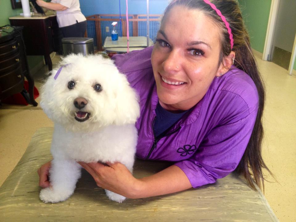 best in show dog grooming baton rouge