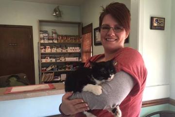 Top Veterinarians Worldwide Bringfido