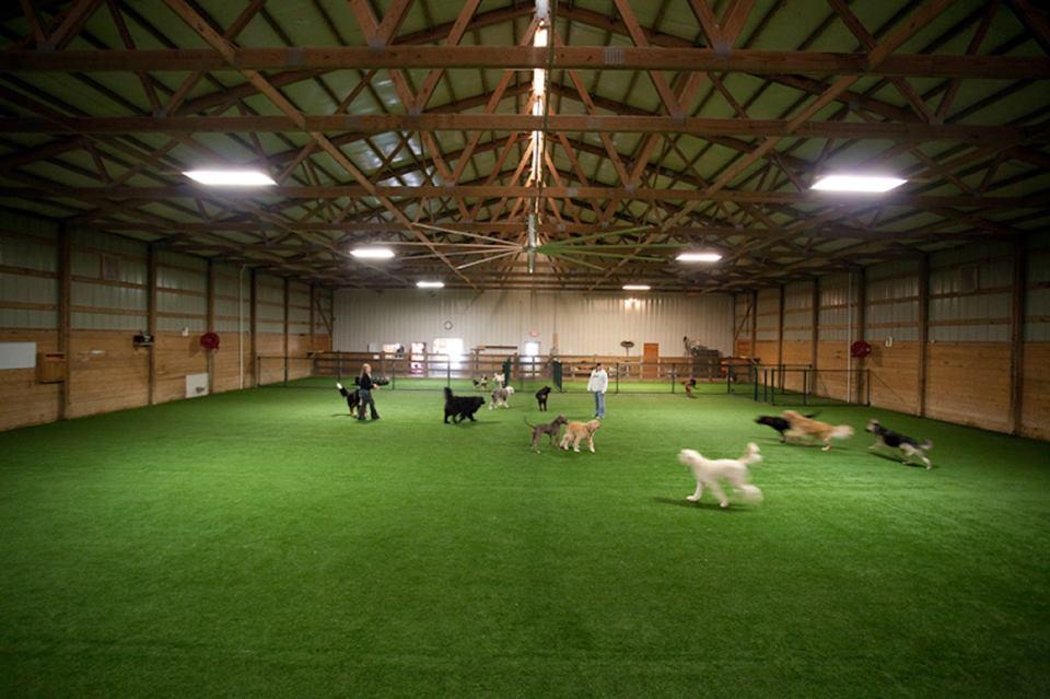 The Pet Ranch Boarding Kennel