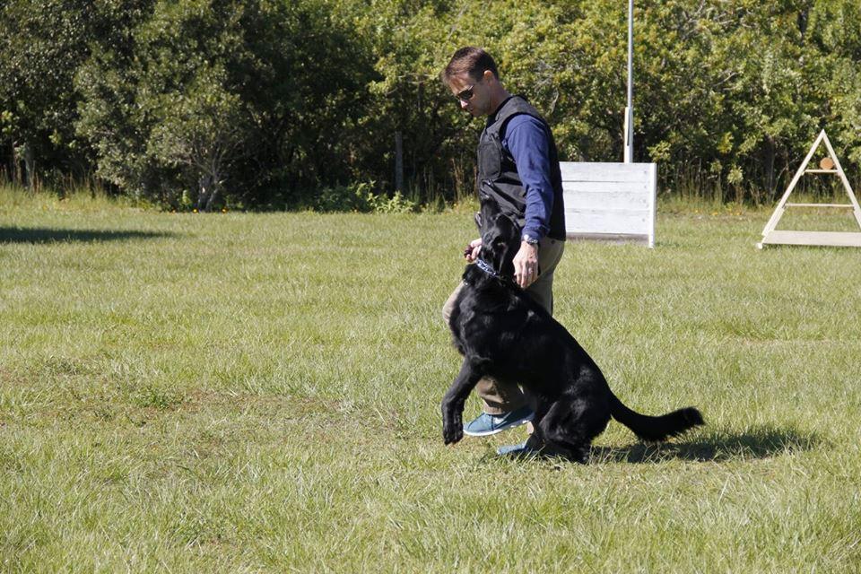 Aas Von Tente Kennels