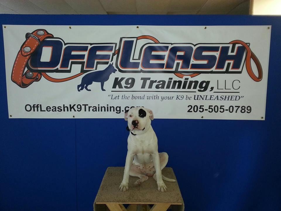 Off Leash K9 Training