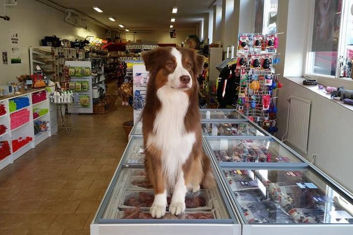 Directory of Pet Stores in Europe - BringFido