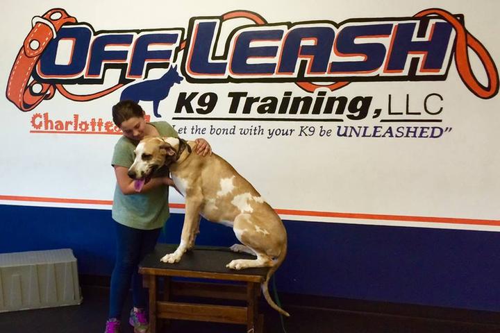 Pet Friendly Off Leash K9 Training, Charlottesville