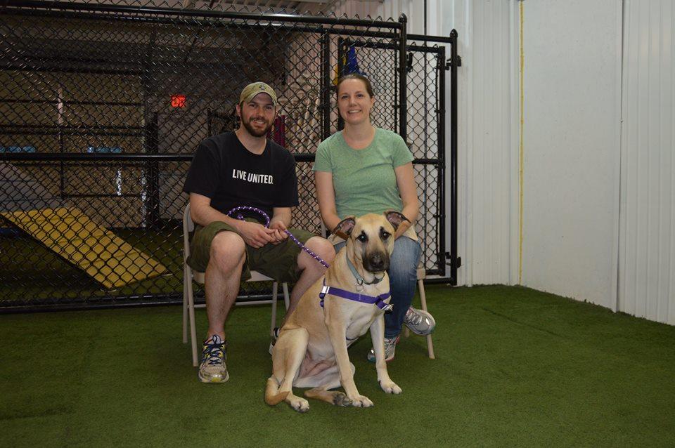 The Complete Canine Center, LLC