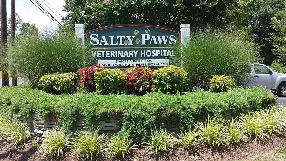 Salty Paws Veterinary Hospital